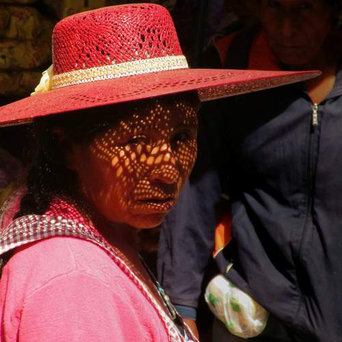 Photo #13330468