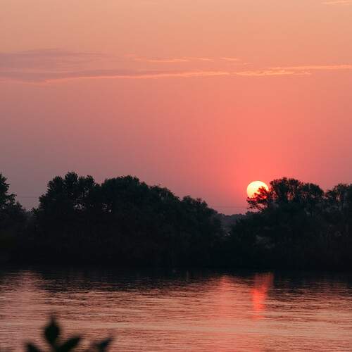 Photo #13330492