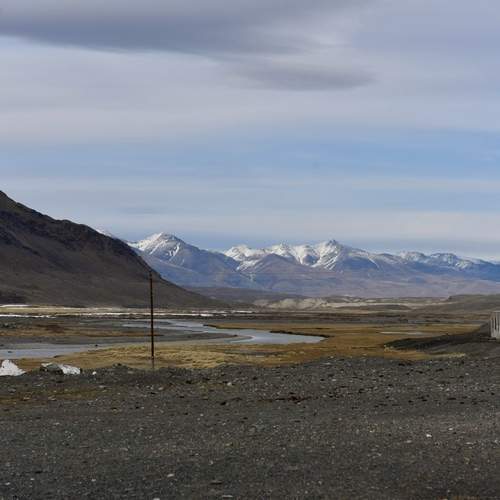 Photo #13330547