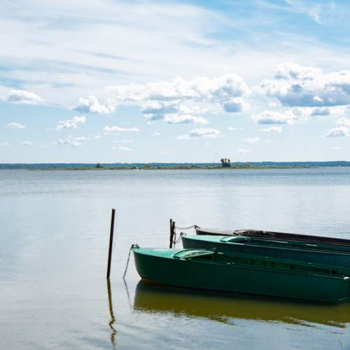 Photo #13330620
