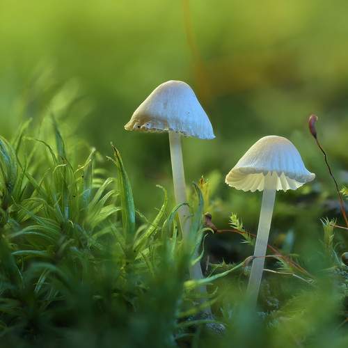 Photo #13330629