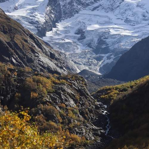 Photo #13330657