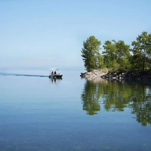 Photo #13330701