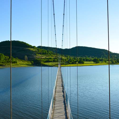 Photo #13330758
