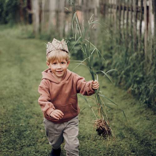 Photo #13330826