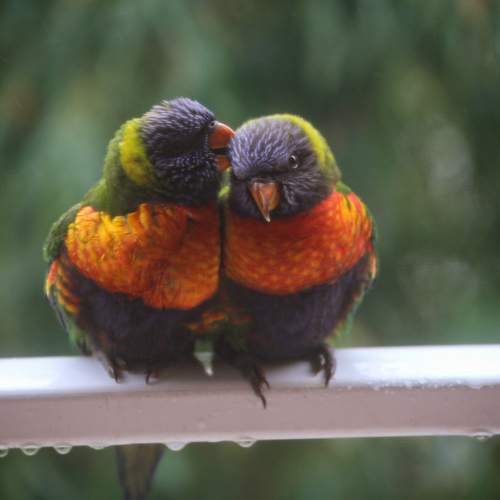 Photo #13330863