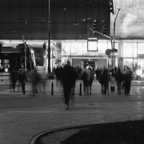 Photo #13330899