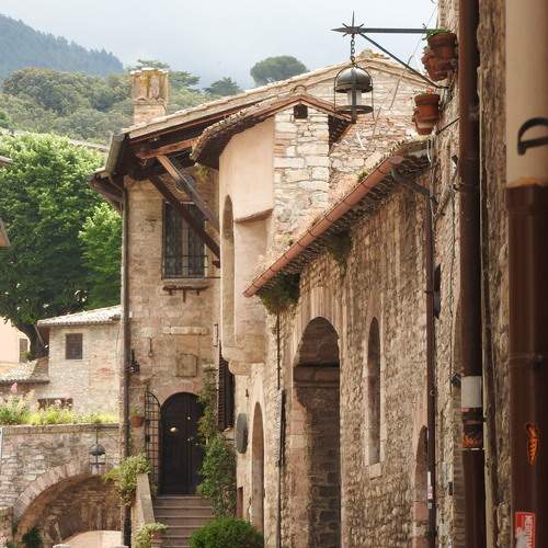 Photo #13330915