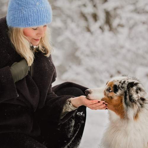 Photo #13330984