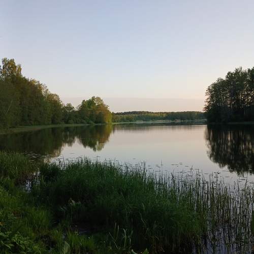 Photo #13331020