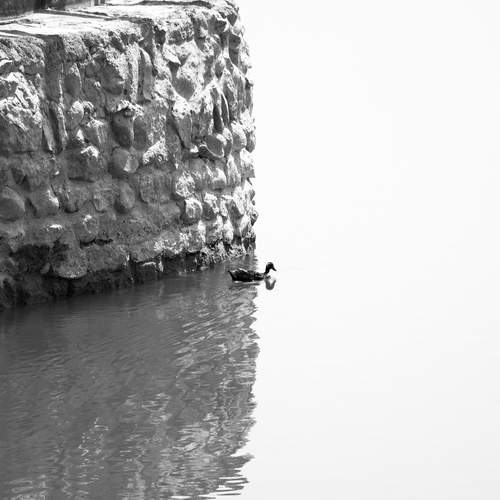 Photo #13331084