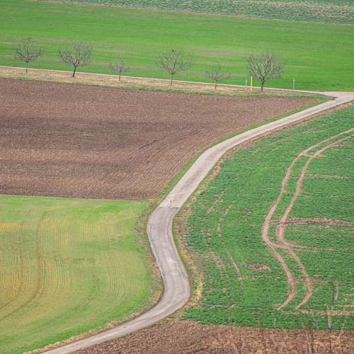 Photo #13331101