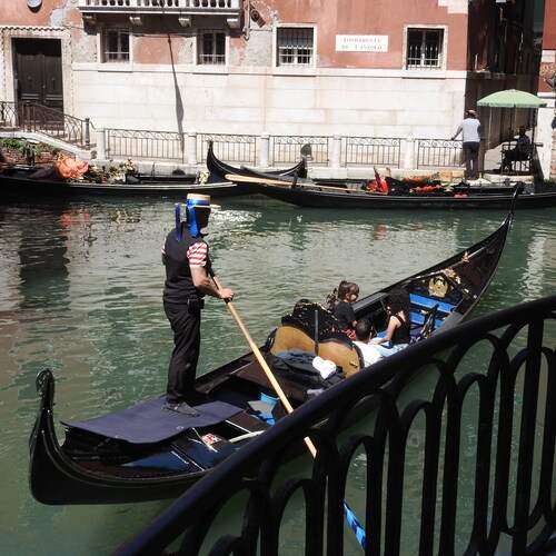 Photo #13331313