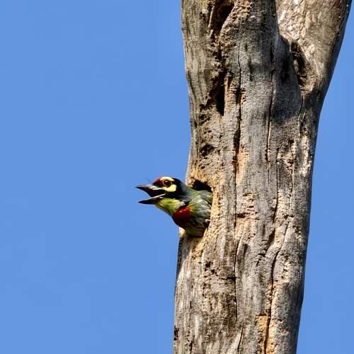 Photo #13331355