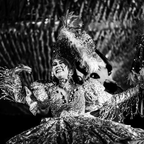 SINHAZINHA E SEU BOI