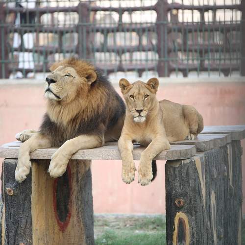 Photo #13331378