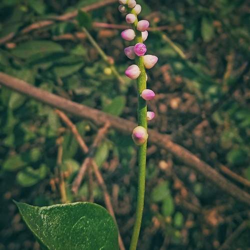 Photo #13331403