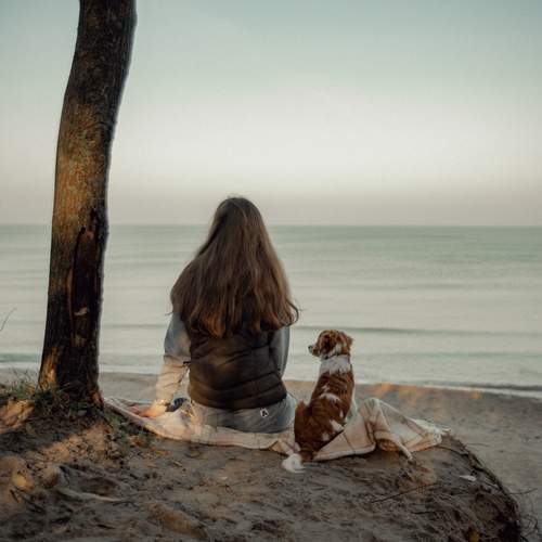 Photo #13331468