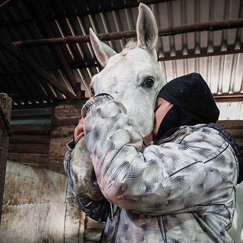 Photo #13331518