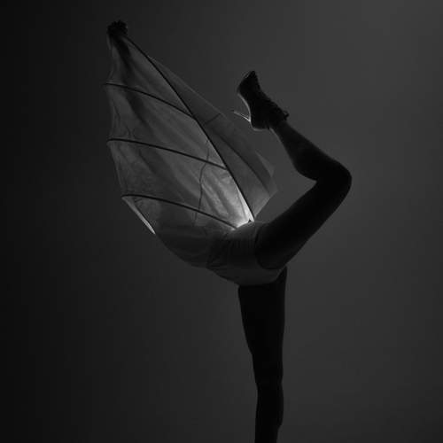 Фотография #13331779