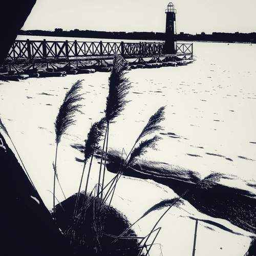 Photo #13331826