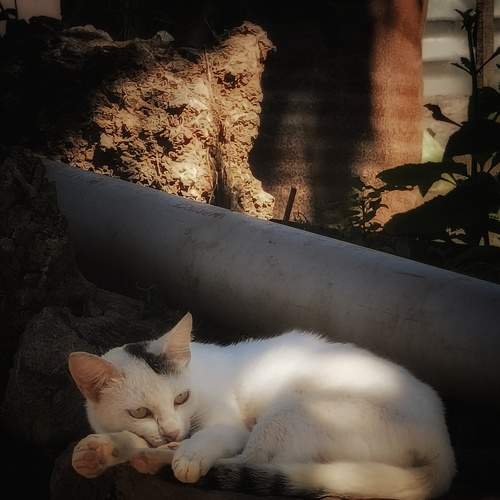 Photo #13331849