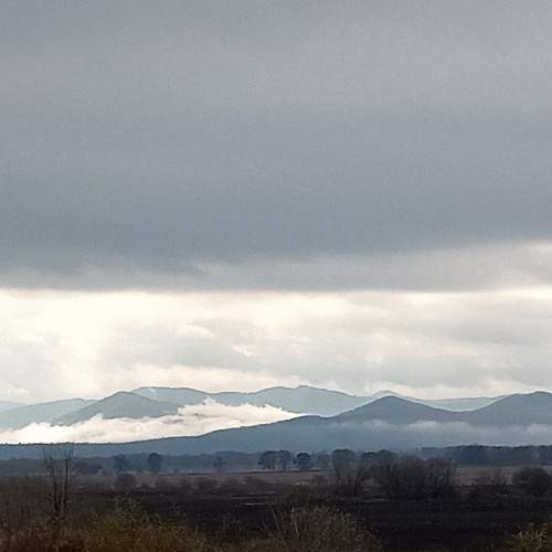 Photo #13331914