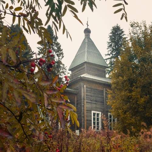 Photo #13331971