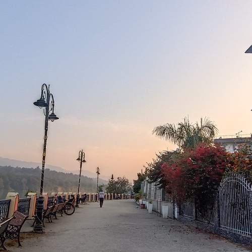 Photo #13332008