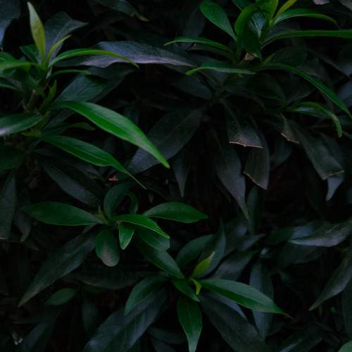 Photo #13332016