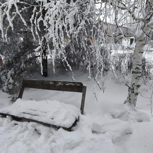 Photo #13332060