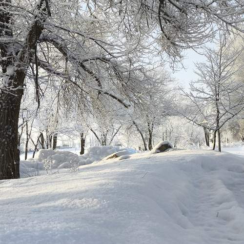 Photo #13332062