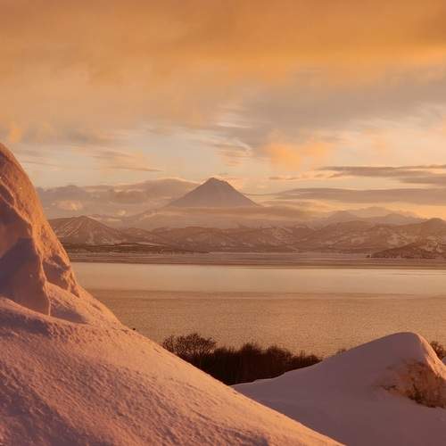 Photo #13332086