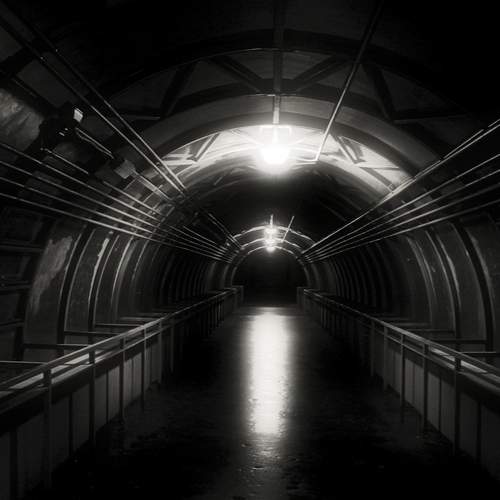 Photo #13332091