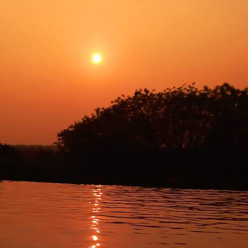 Photo #13332121