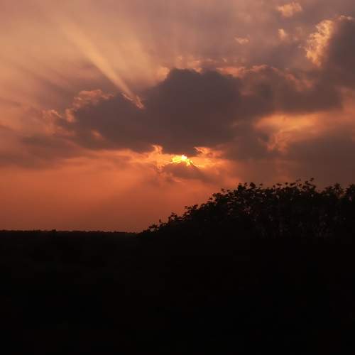 Photo #13332124