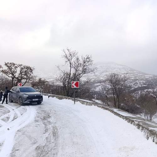 Photo #13332175