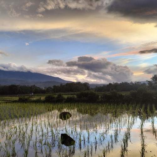 Photo #13332263