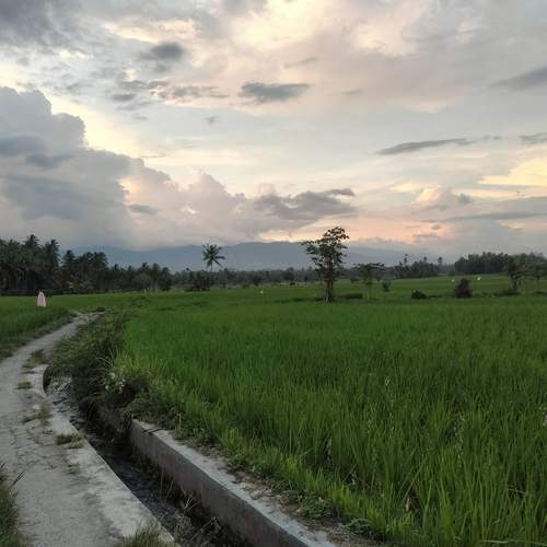 Photo #13332267