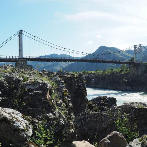 Photo #13332376