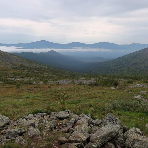Photo #13332558