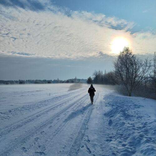 Photo #13332608