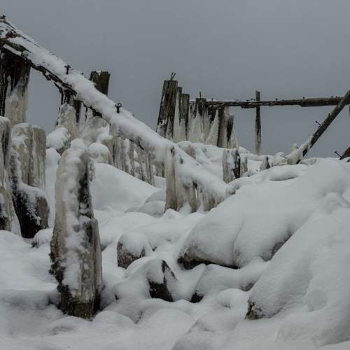 Photo #13332626