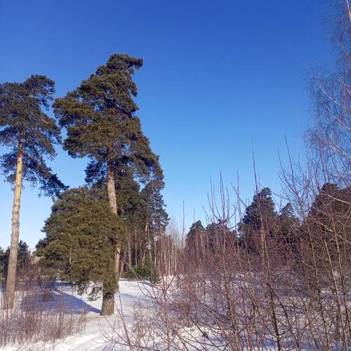 Photo #13332667