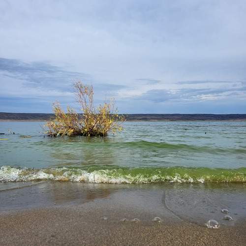 Photo #13332685