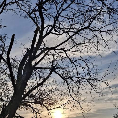 Photo #13332703