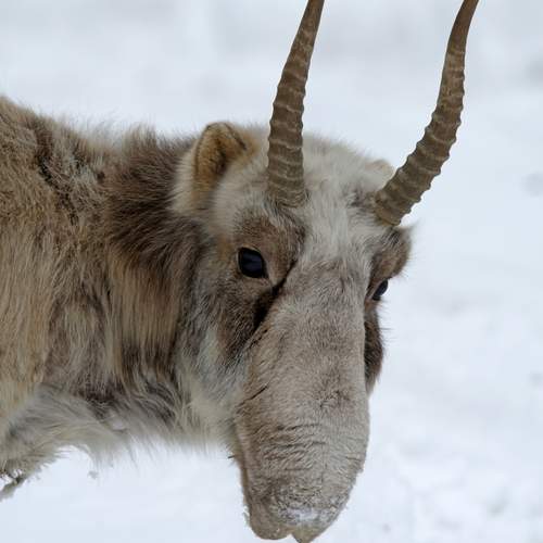 Photo #13332726