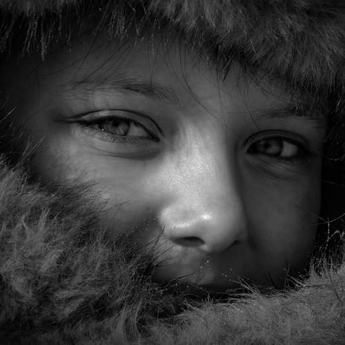 Photo #13332742