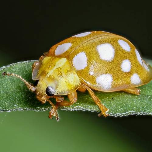 Photo #13332760
