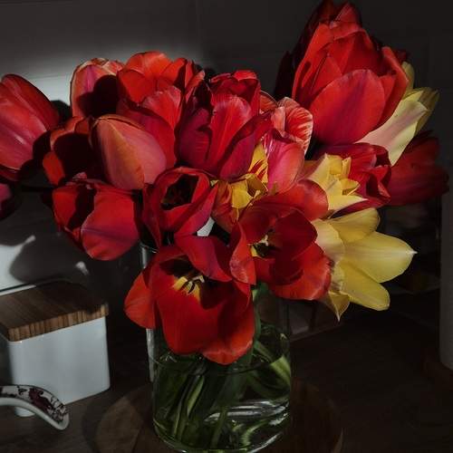 Photo #13332784